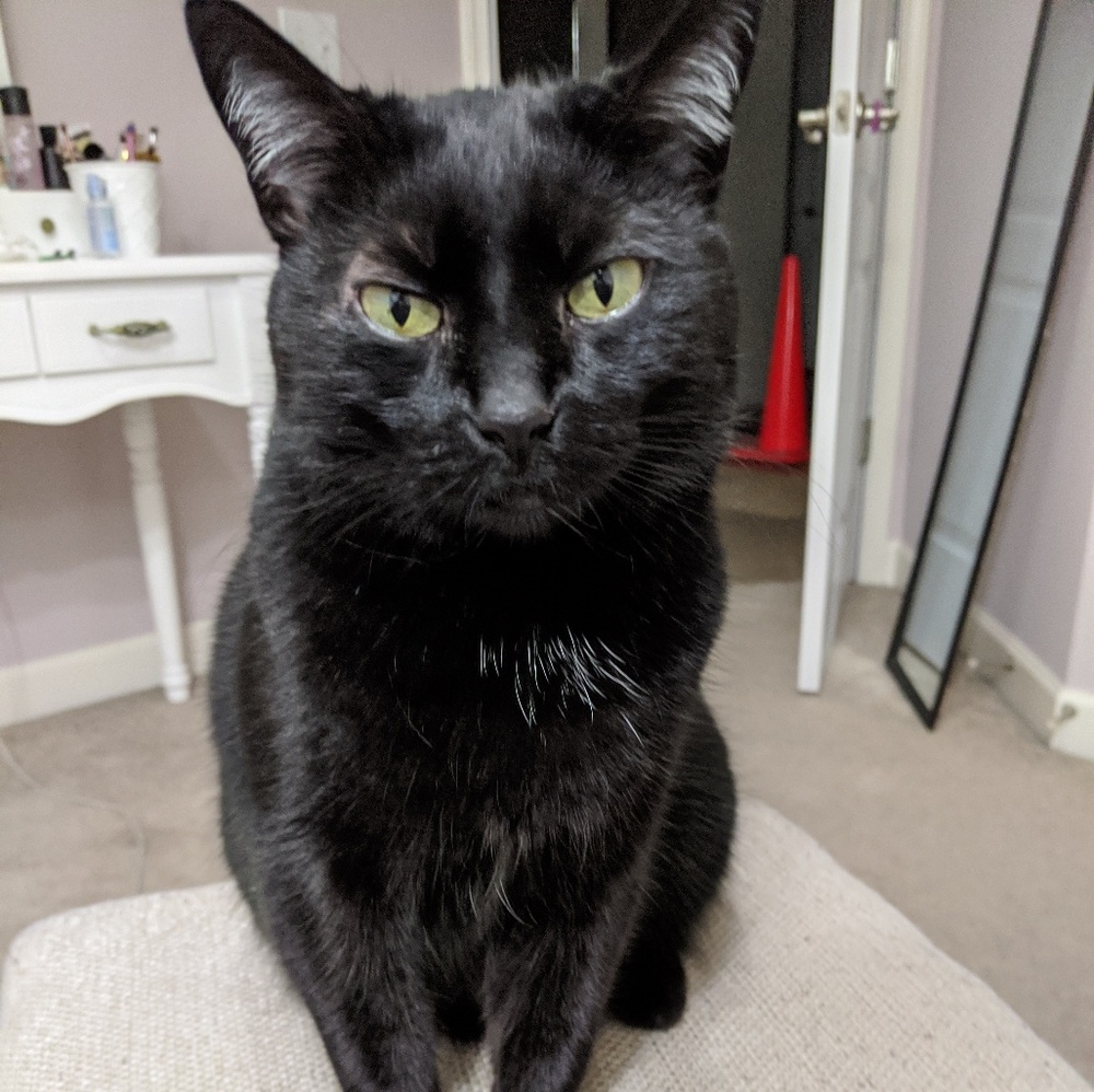 Meet your Posher, Eve